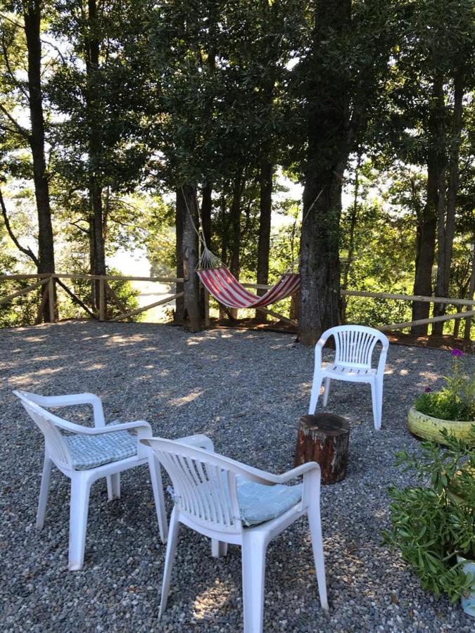 Hostel Isla Del Rey Вальдивия Экстерьер фото