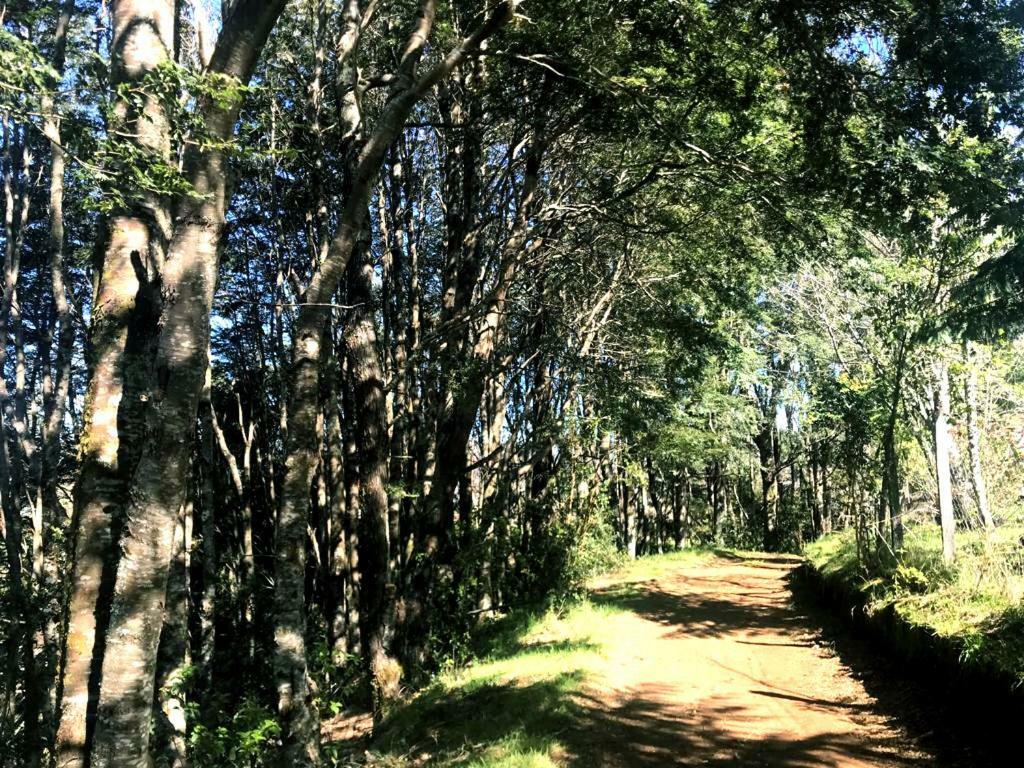 Hostel Isla Del Rey Вальдивия Экстерьер фото
